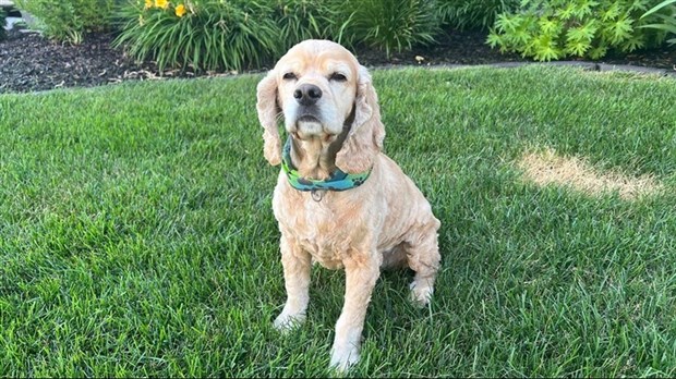 Call for photos: Your pets on vacation