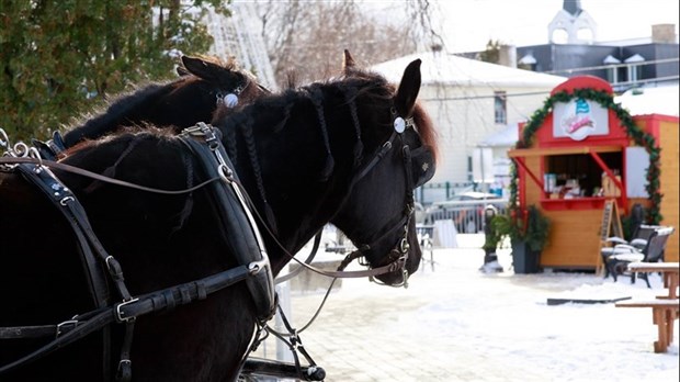 The City of Coteau-du-Lac is calling for artisans