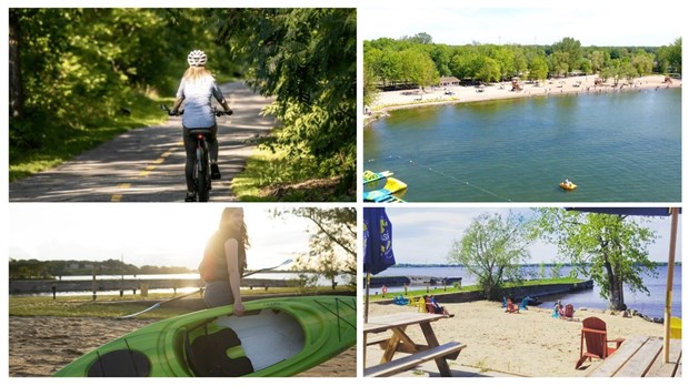  What's your favorite summer activity? 