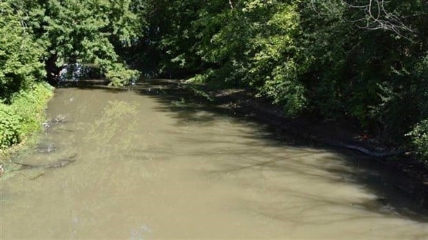 Visite guidée de la rivière Quinchien ce samedi à Saint-Lazare 