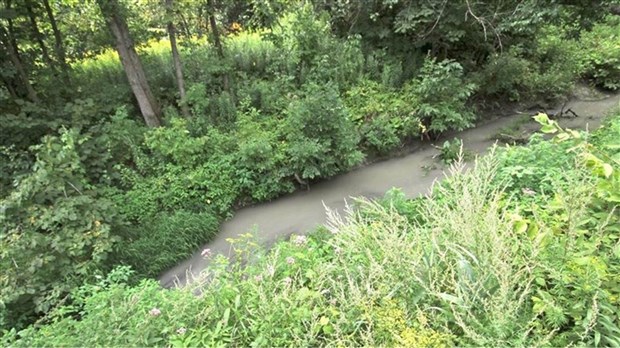 Guided tour of the Quinchien River this Saturday in Saint-Lazare  
