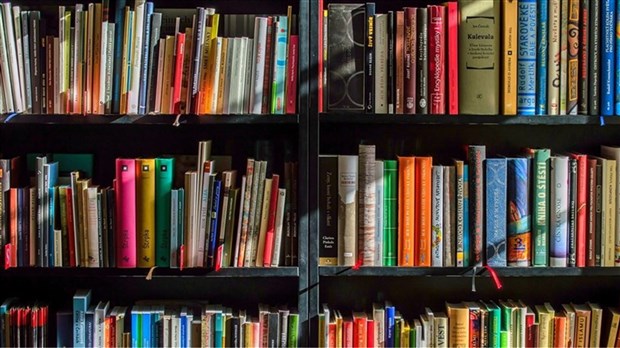 Journée « J’achète un livre québécois »: pas trop tard pour découvrir les auteurs d'ici 