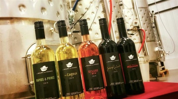 The Horticultural Society invites you to a guided tour of Le bourg des Cèdres vineyard 