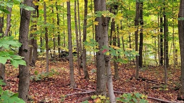 Mont Rigaud's natural environment protected in perpetuity gains 19 hectares