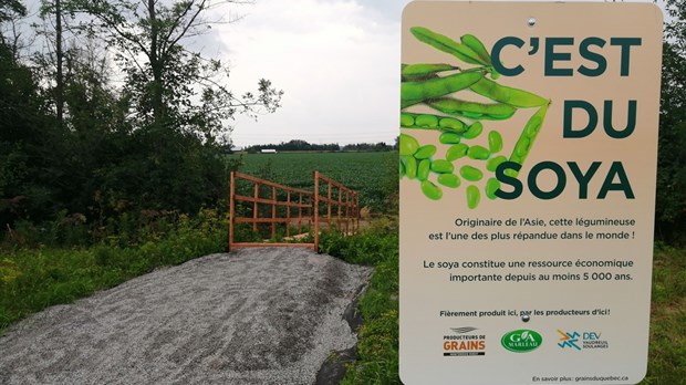 Faites du vélo en découvrant vos producteurs de grains