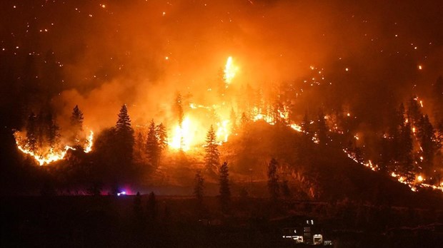 Sondage: les Canadiens veulent plus de mesures pour protéger les forêts