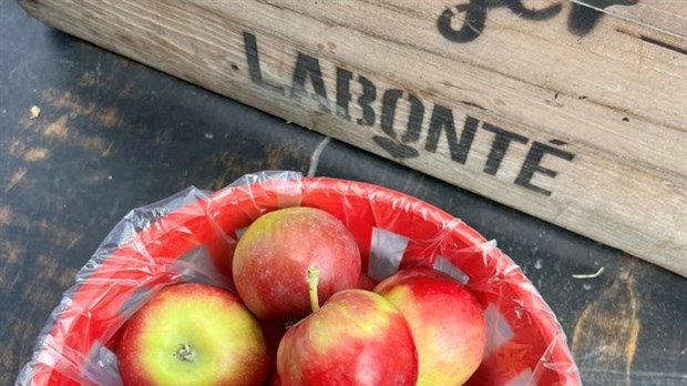 Verger Labonté finally obtains organic certification   