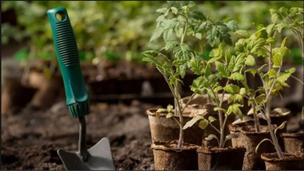 L'agriculture urbaine au coeur d'une conférence à Sainte-Martine 