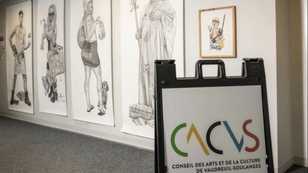 The CACVS launches a call for projects
