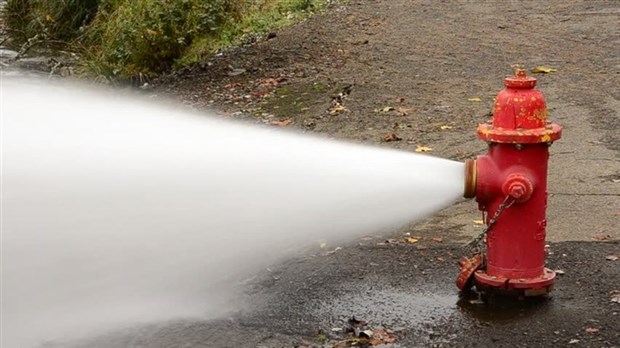 Ville de L'Île-Perrot inspects its fire hydrants  