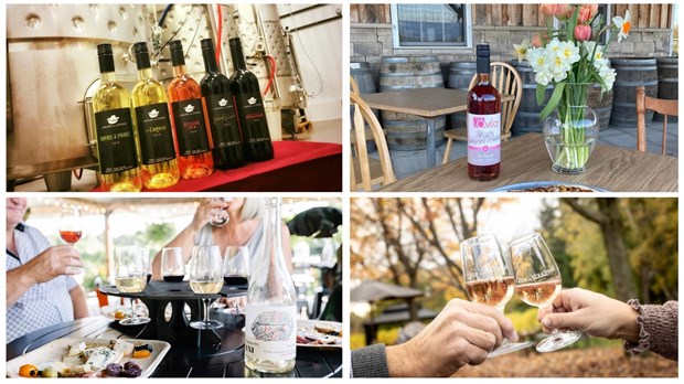 On September 12, it's Quebec Wine Drinking Day.