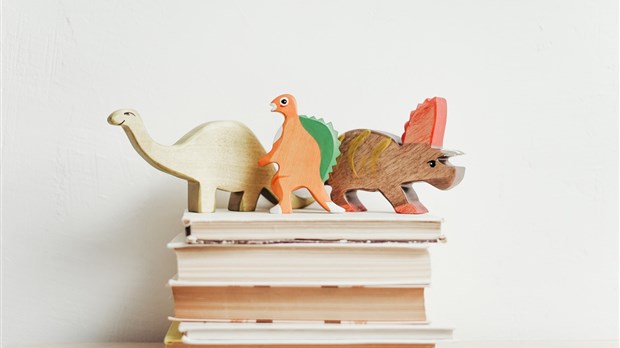 Young readers invited to Guy-Godin's library