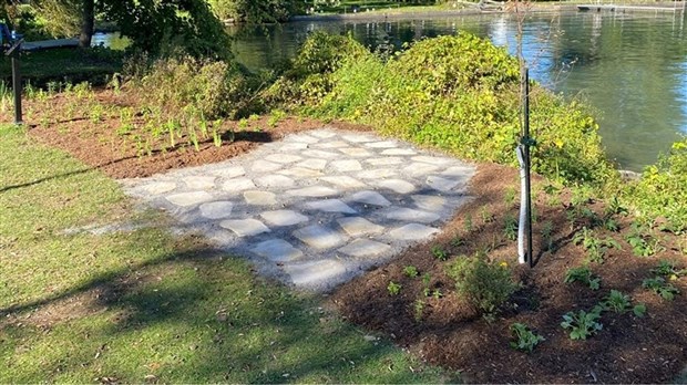 Les Coteaux to plant 260 native trees on its territory this autumn    