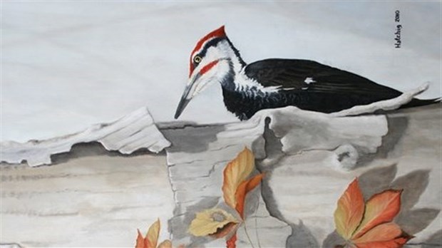 Exposition artistique à venir en octobre à Hudson