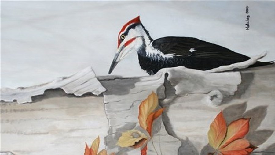 Exposition artistique à venir en octobre à Hudson
