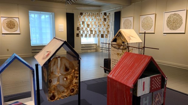 Johanne Kielo offers refuge at the regional museum