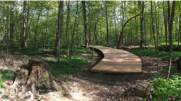 Un projet de carillons unique à la Pointe-du-Buisson, Musée québécois d’archéologie 