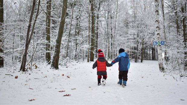 Les Forestiers nature park: only a few days left to take the survey 