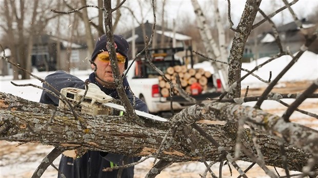 Tree trimming and felling in Vaudreuil-Dorion  