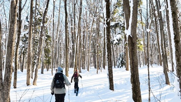 Randonnée alpine: sentiers ouverts au Mont Rigaud 