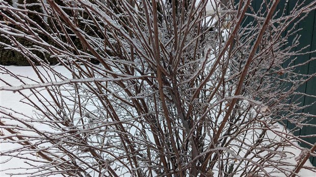 A second episode of freezing rain expected in Vaudreuil-Soulanges this Friday 
