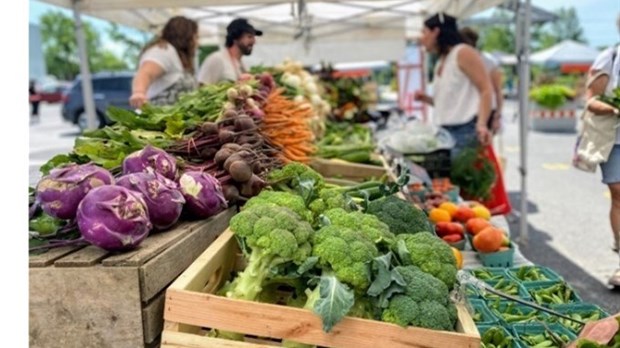 Salaberry-de-Valleyfield sonde citoyens et visiteurs sur son marché public
