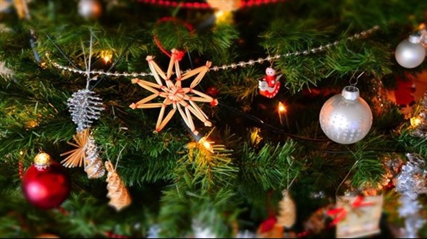 Mon beau sapin roi... des maisons québécoises