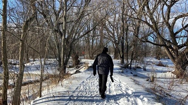 Pointe-des-Cascades : marche de nuit dans le Parc nature
