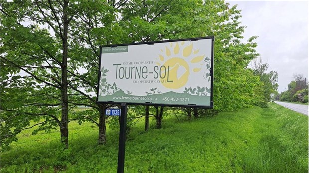 Réservez votre panier de légumes biologiques pour l'été dès maintenant 