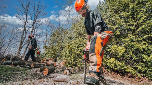 Importants travaux de déboisement à Rigaud 