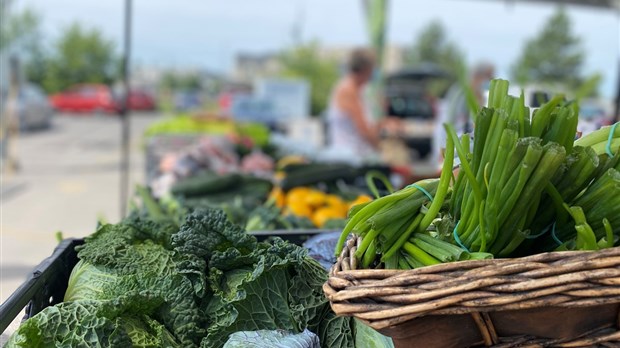 Retour du marché public de Salaberry-de-Valleyfield en 2024