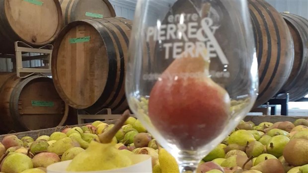 Le Bloc Québécois milite pour une suspension de taxe pour les producteurs de vin d'érable et de fruits 