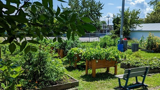 Jardin communautaire: des espaces encore disponibles à Les Coteaux 