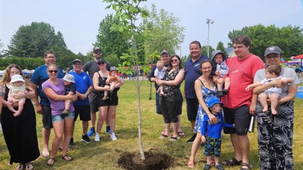 La Ville de Saint-Zotique prépare la plantation de son Arbre des naissances 2023 