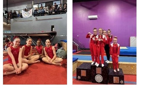 Gymini gymnasts put in a fine performance at the 3rd regional competition  