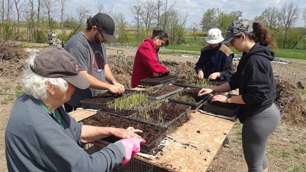 27 avril : inscrivez-vous à une activité de ferme maraîchère à Saint-Polycarpe 