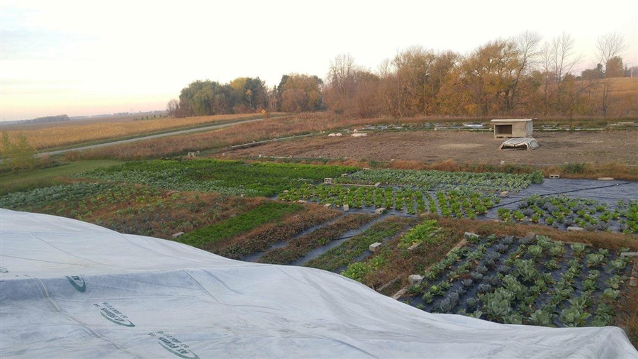 April 27 : take part to a vegetable farm in Saint-Polycarpe   