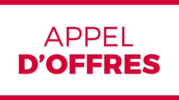 Appel d’offres 2024-STP-02-02: Acquisition par crédit-bail de camions 10 roues avec benne