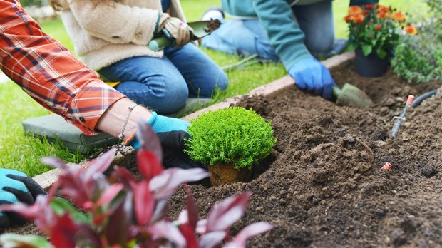 Saint-Lazare returns with its ecological landscaping contest