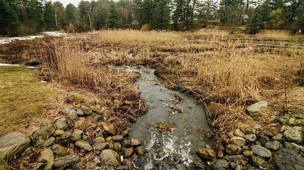 Réhabilitation du Lac Pine: Hudson met le projet sur pause