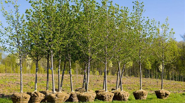 A new environmental grant for Vaudreuil-Dorion