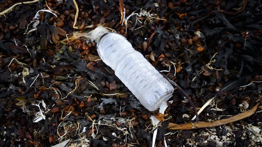 Des milliards de bouteilles en plastique se retrouvent dans l'environnement canadien