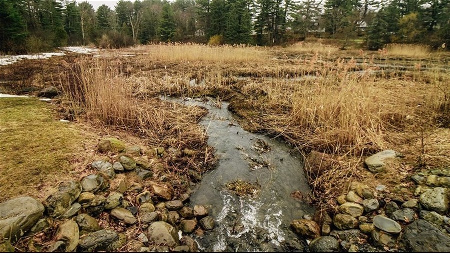 Rehabilitation of Pine Lake: Hudson puts project on hold    