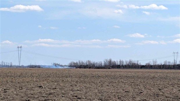 Brush fires: Get informed before alerting others  