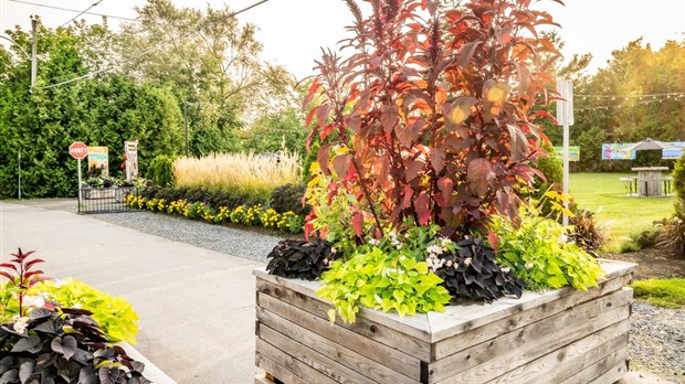 Saint-Lazare receives international recognition for its ecological landscaping