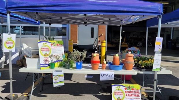 Sign up for vegetable garden maintenance at Les Cèdres