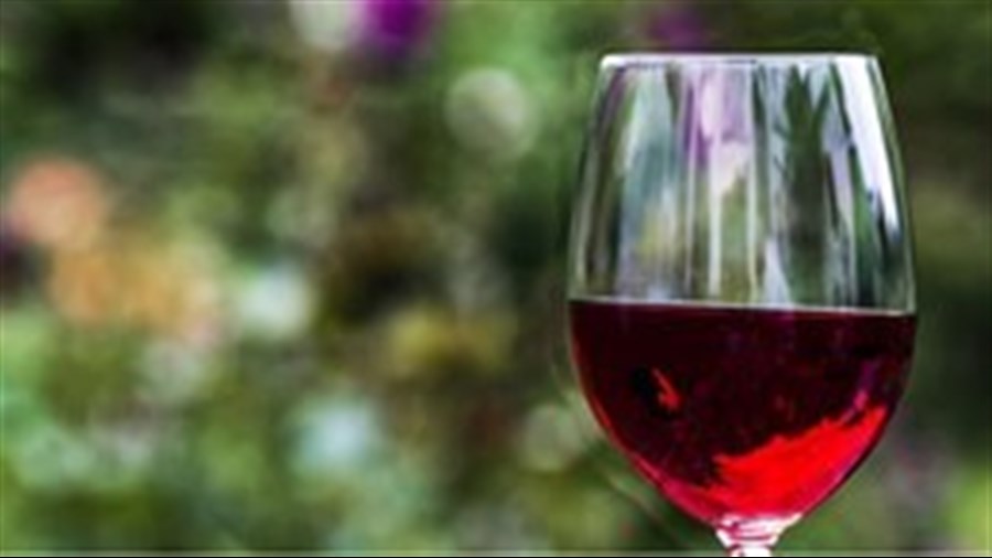 Rigaud : atelier de dégustation de vins du Sud-Ouest de la France