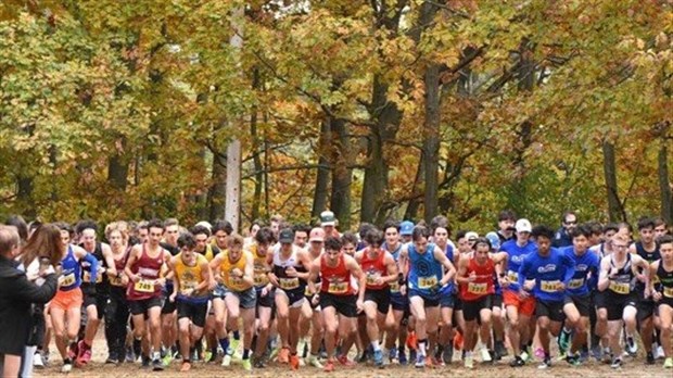 Region selected to host provincial cross-country championships  