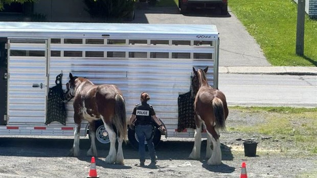 A police presence that doesn't go unnoticed on the roads of Vaudreuil-Soulanges  