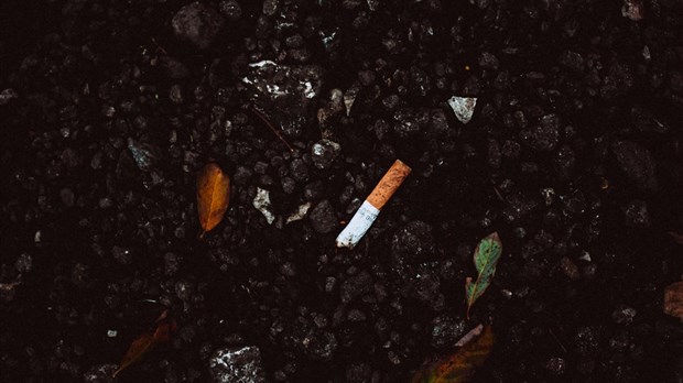 Don't put cigarette butts in flower pots